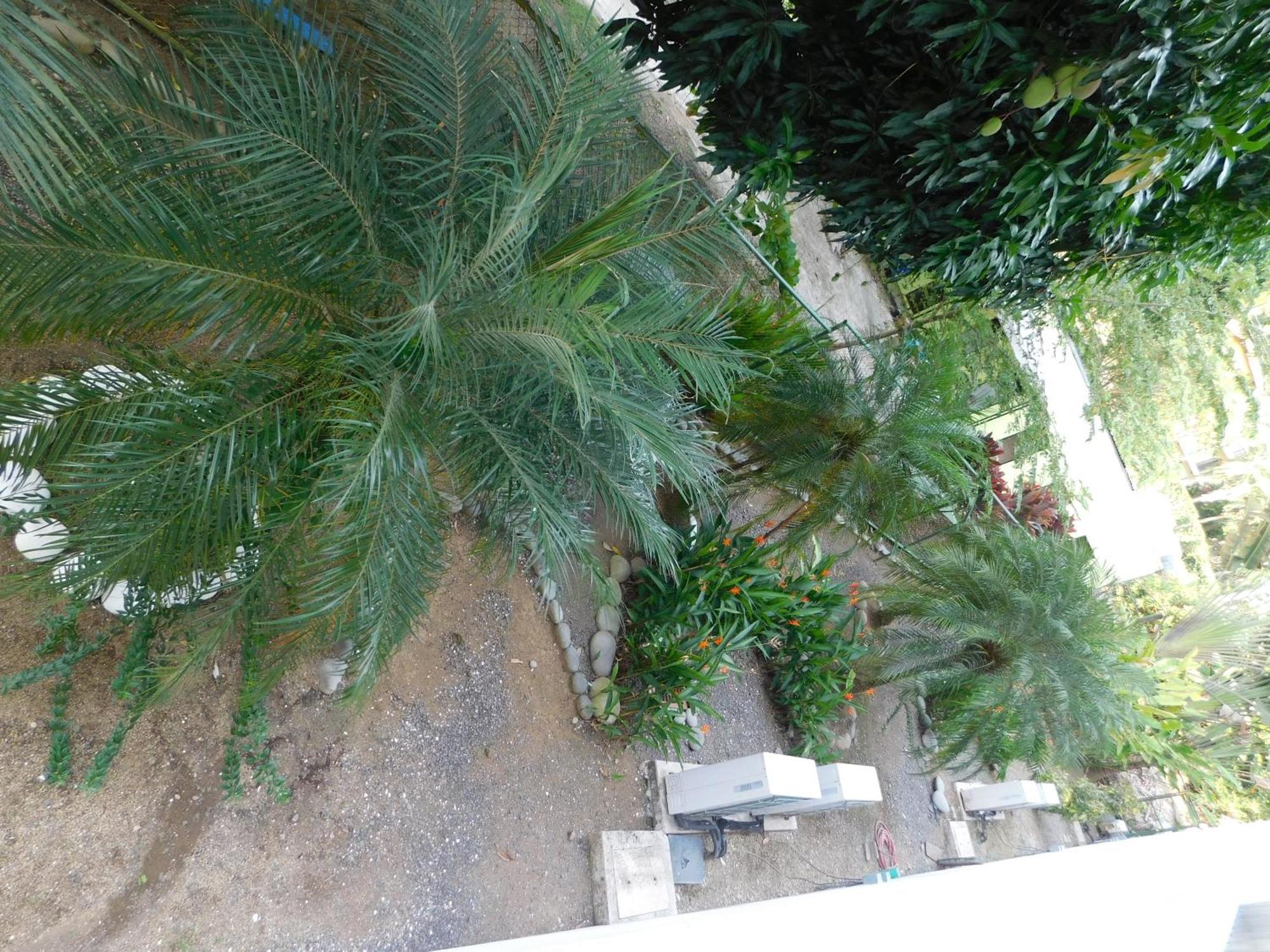 Sunset 205, Sleeps Six, Next Door To The Pool, 100M To The Beach! Jacó Exterior foto